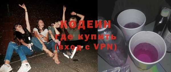 таблы Бородино