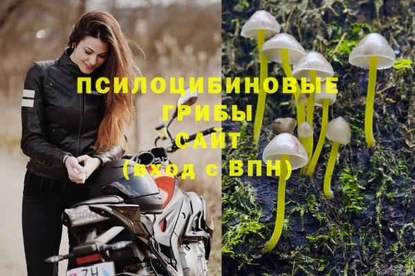 прущие крисы Бугульма