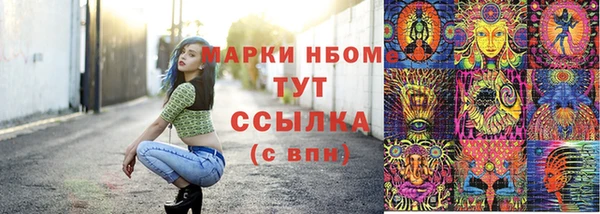шишки Бронницы