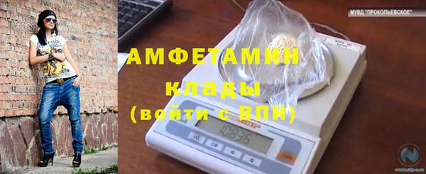 шишки Бронницы